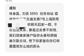 莱芜为什么选择专业追讨公司来处理您的债务纠纷？